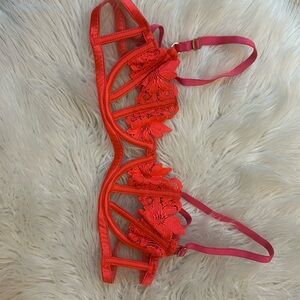 32 B Honey Birdette sexy lace bra NWOT